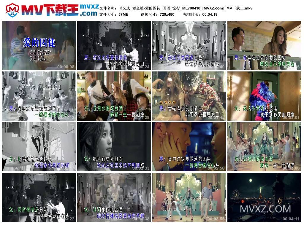 时文成_谢金桃-爱的囚徒_国语_流行_ME700410